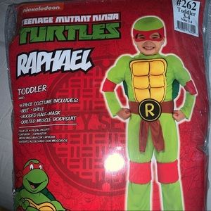 Rafael costume